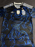 Camiseta Argentina visitante 2026